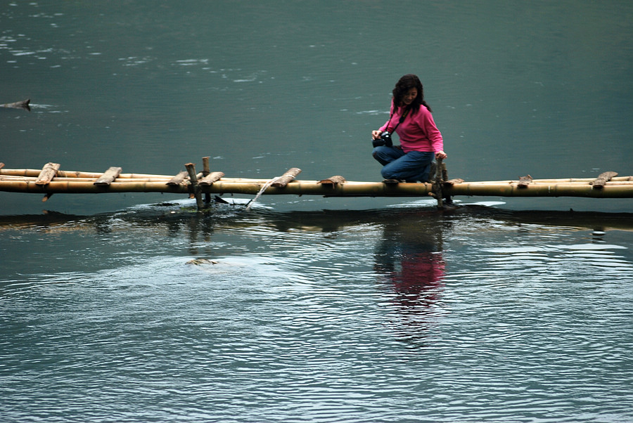 dsc_0917.jpg