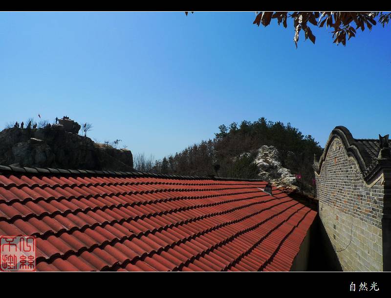 l1310175.jpg