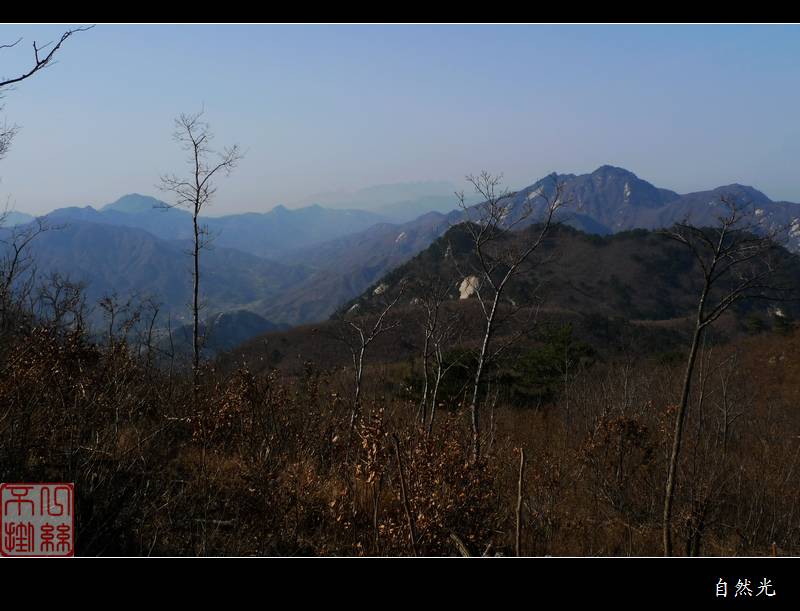 l1310387.jpg