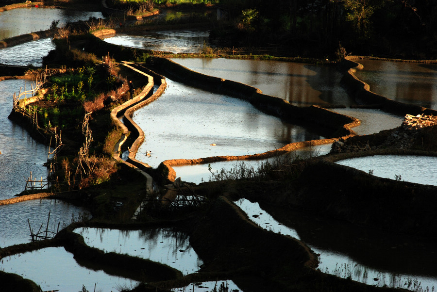 dsc_1022.jpg