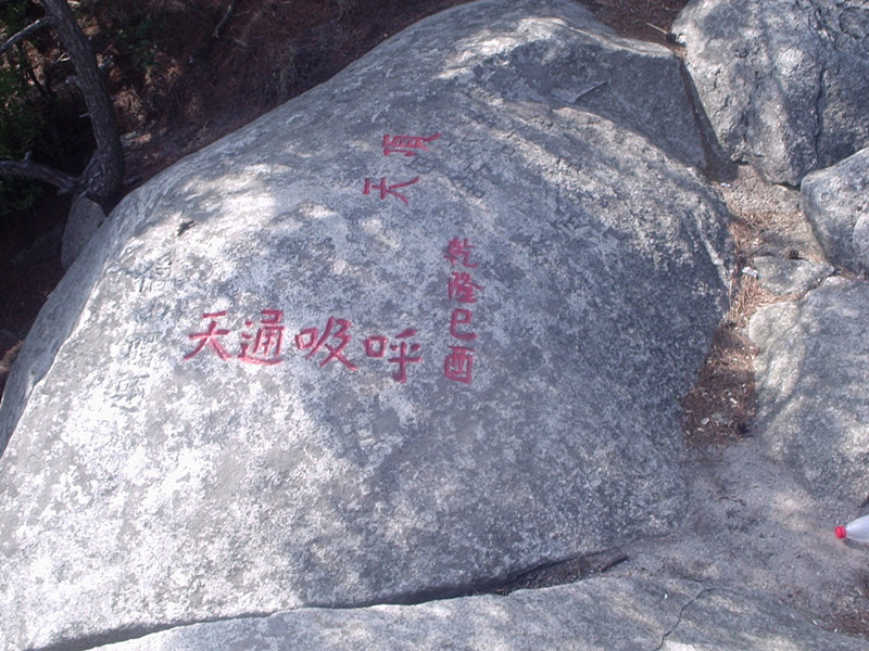 p1010035_.jpg