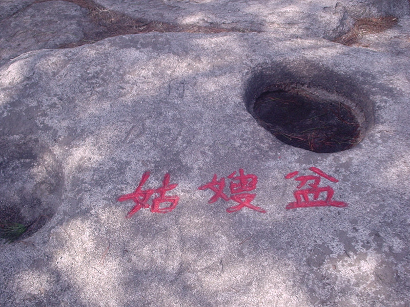 p1010033_.jpg
