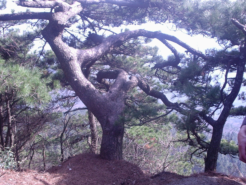 p1010032_.jpg