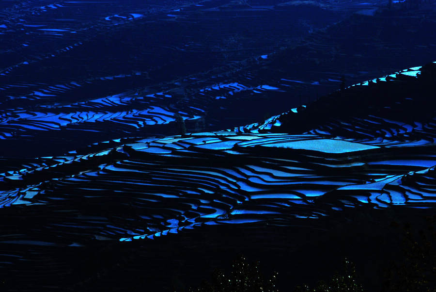 dsc_1105.jpg