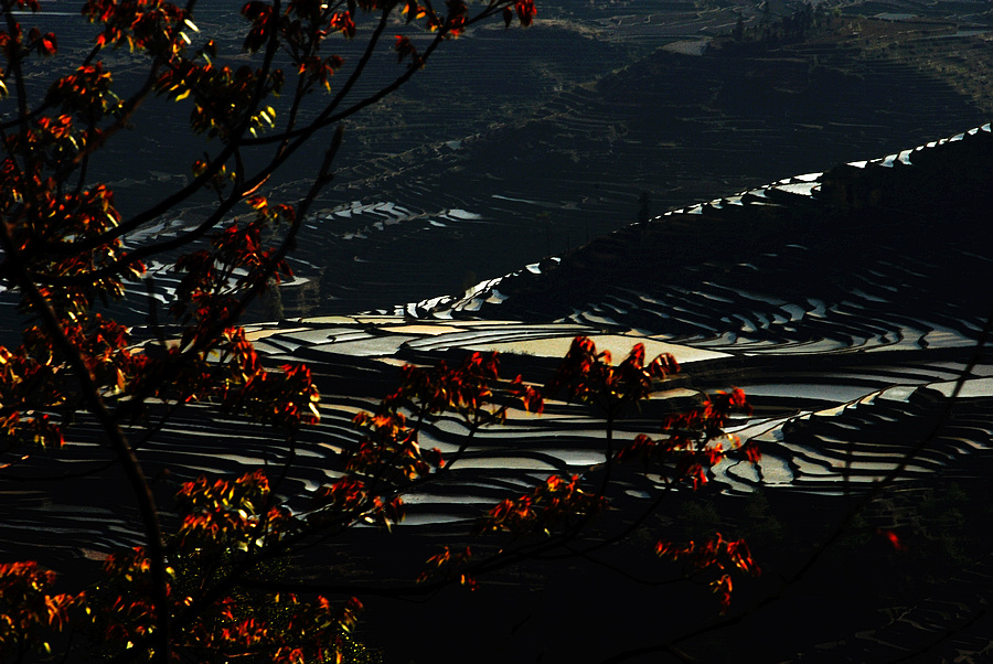 dsc_1111.jpg