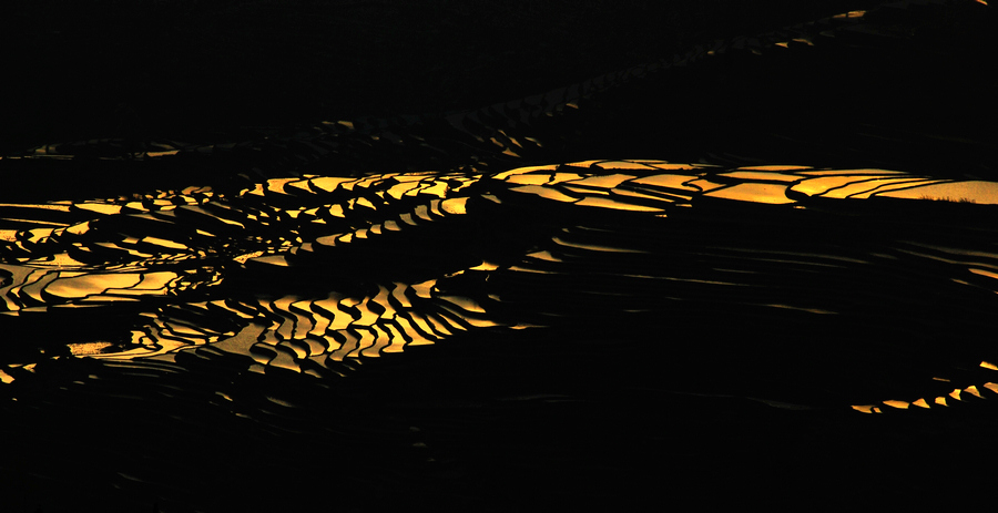 dsc_0959.jpg