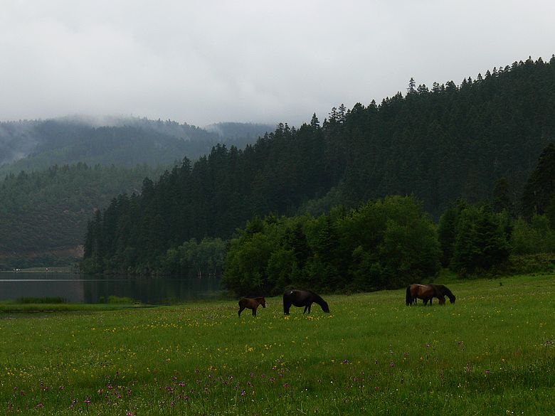 p1160192.jpg
