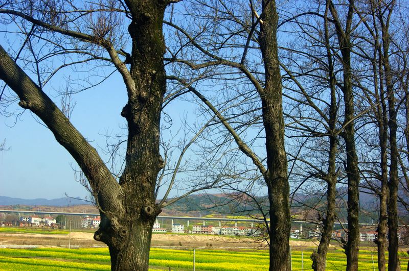 dsc06589.jpg