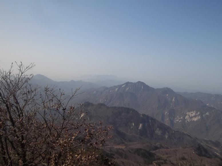 羰007.jpg