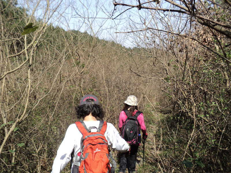 dsc07694_.jpg