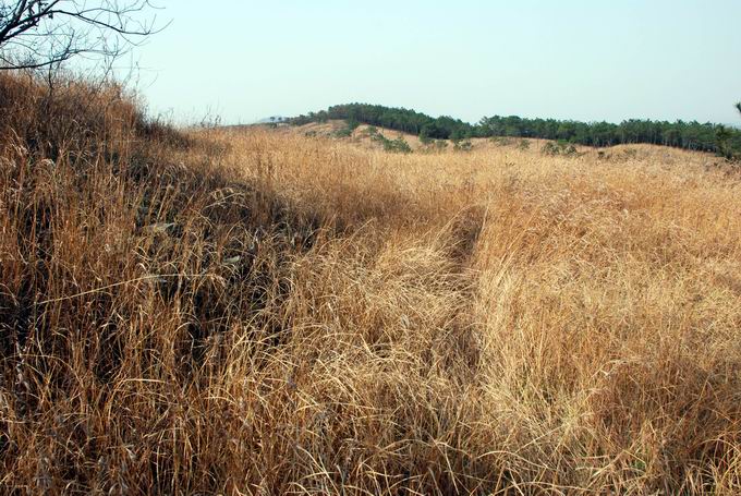 С dsc_0162.jpg