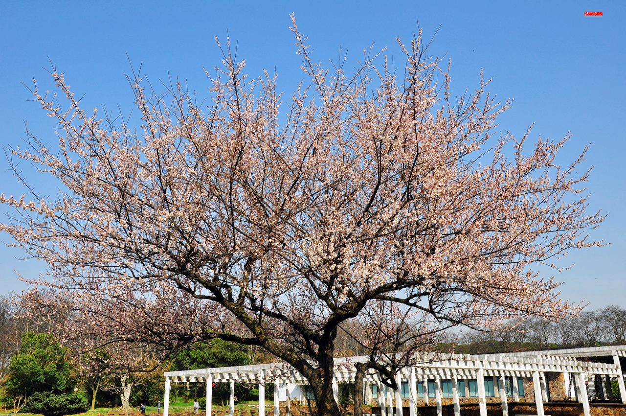 dsc_0768.jpg