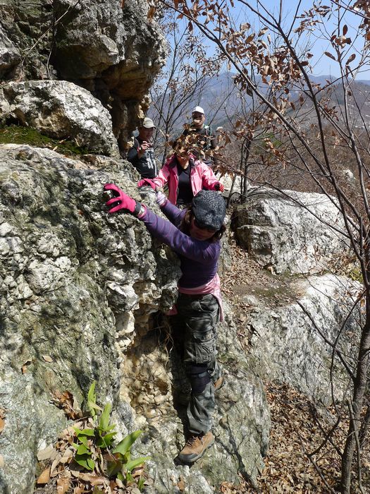 p1210230.jpg