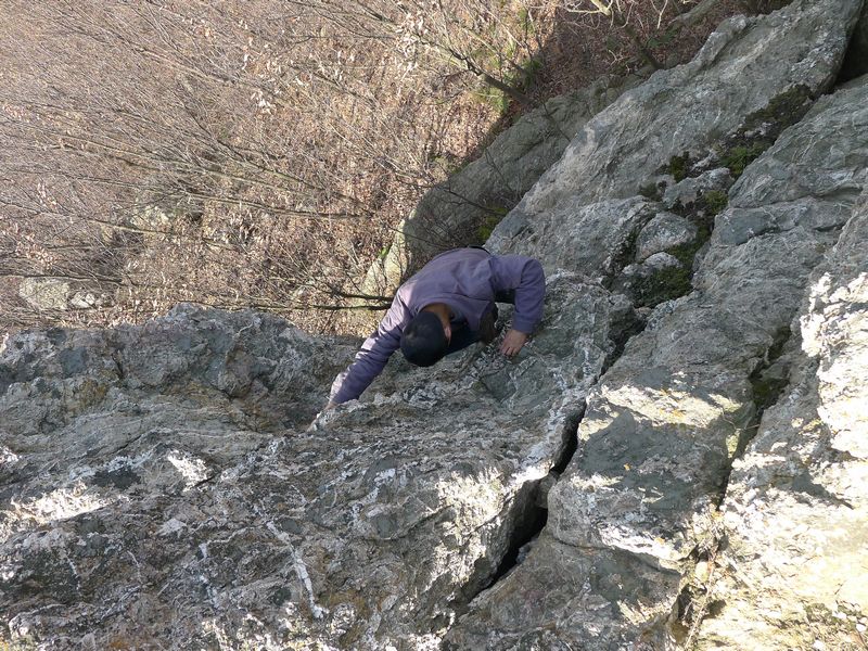 p1210257.jpg