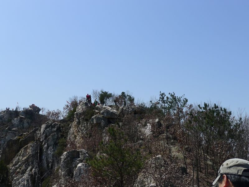 p1210250.jpg