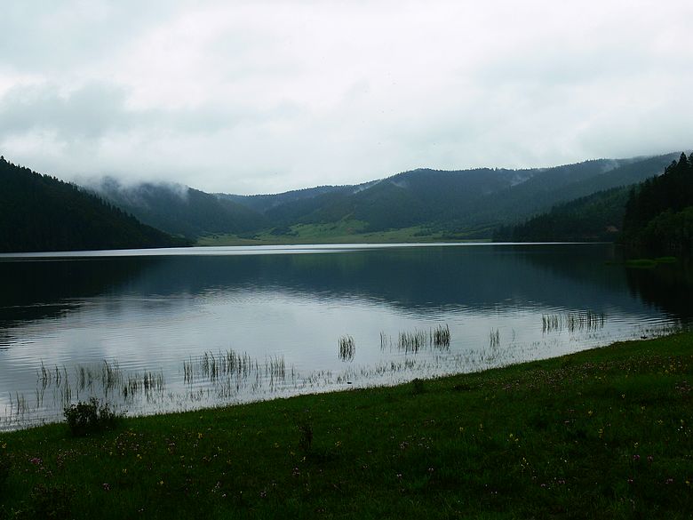 p1160200.jpg