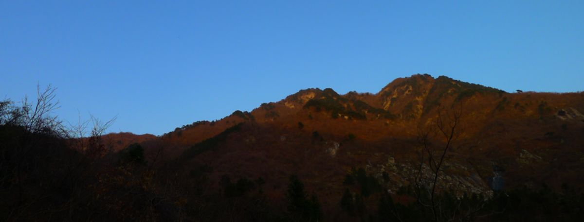 p1210316.jpg