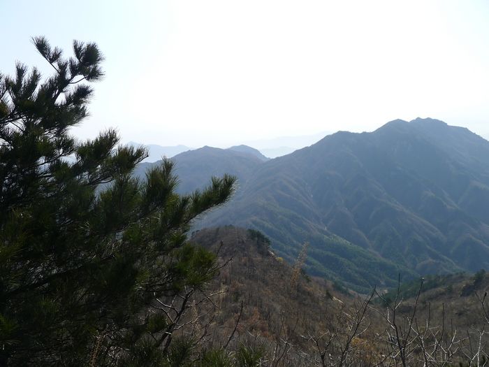 p1210335.jpg