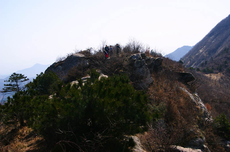 dsc06835.jpg