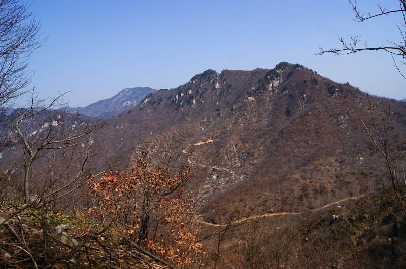 dsc06899.jpg
