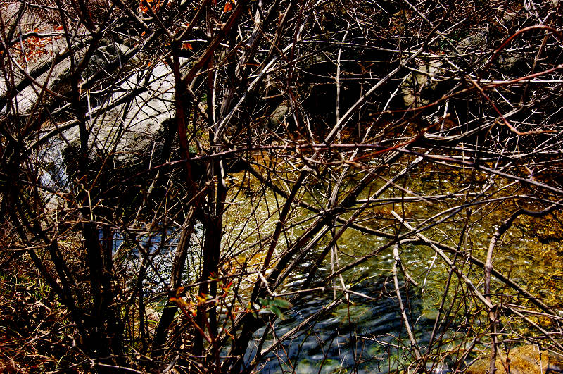 dsc06922.jpg