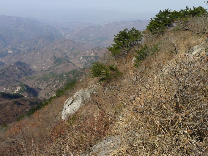 p1210343.jpg