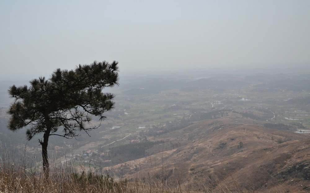 2012.3.25Сկɽ070.jpg