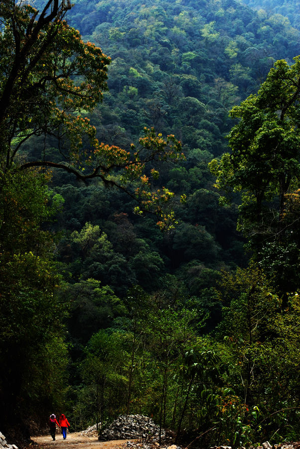 dsc_1307.jpg