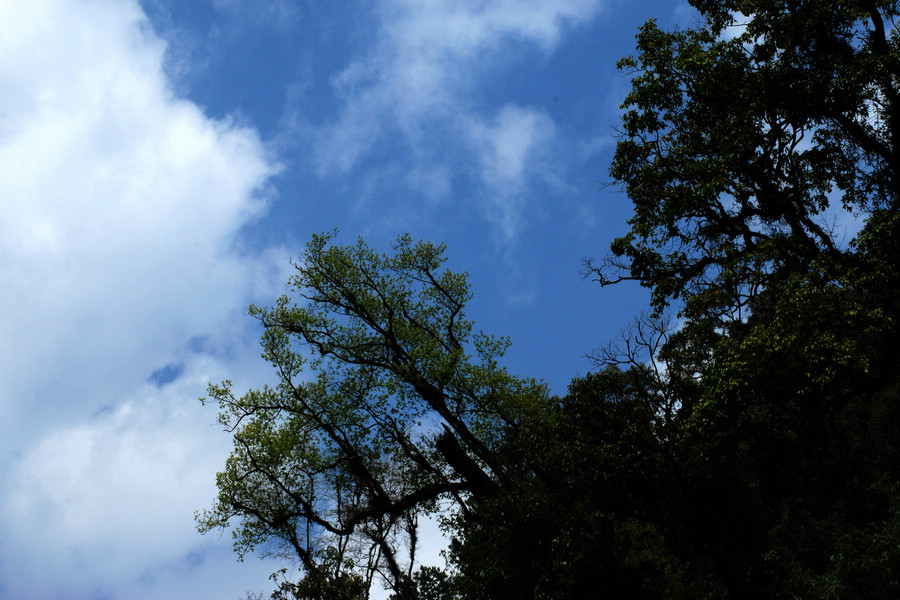 dsc_1317.jpg