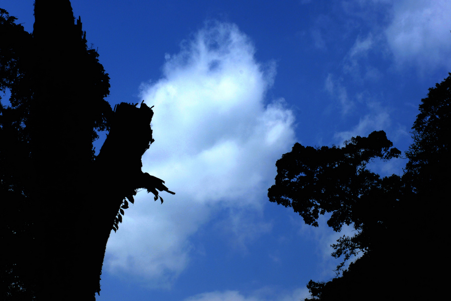 dsc_1350.jpg