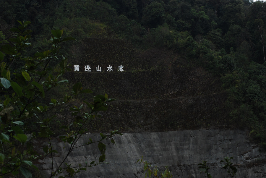 dsc_1450.jpg