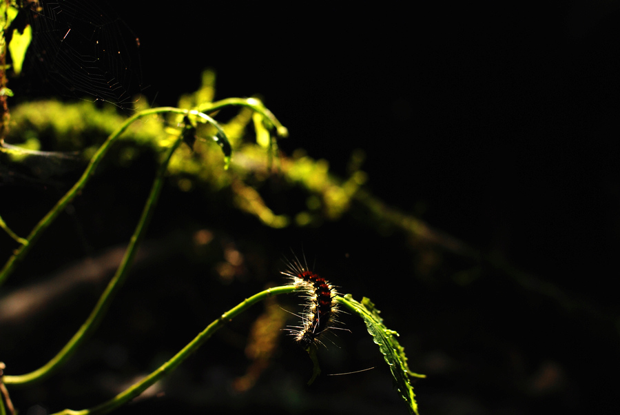 dsc_1424.jpg