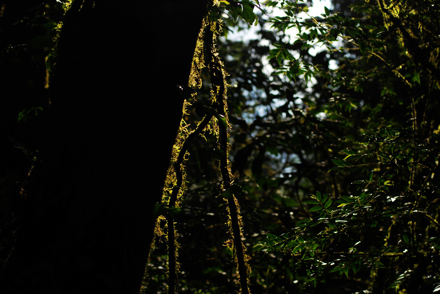 dsc_1403.jpg