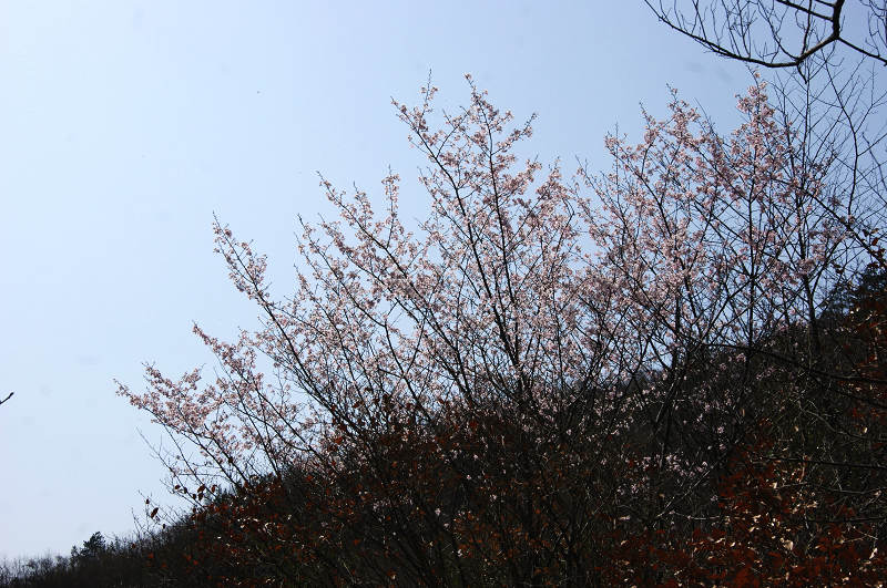 dsc07001.jpg