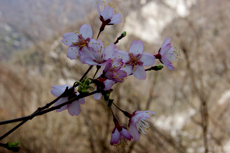 dsc07020.jpg