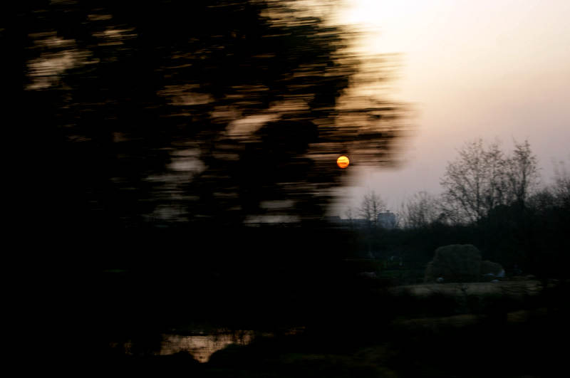 dsc07065.jpg