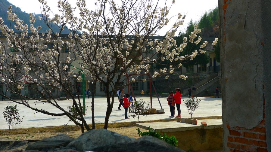 p1210488.jpg