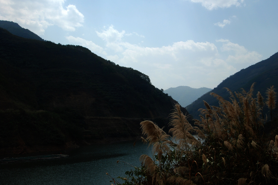dsc_1801.jpg