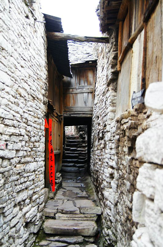dsc08792.jpg