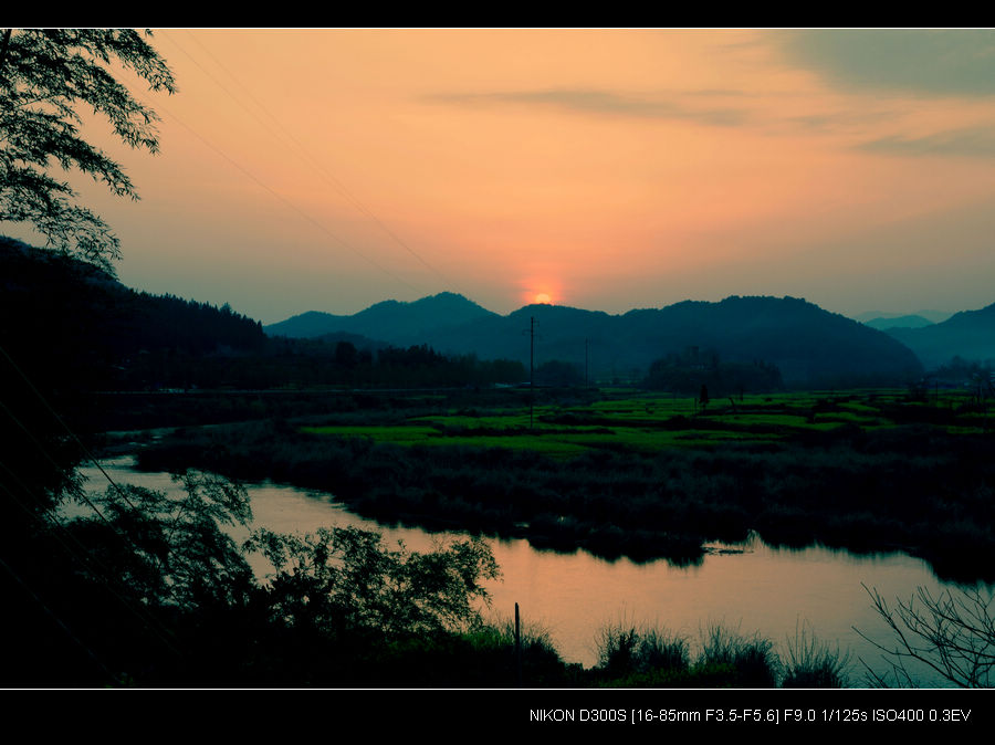 neo_img_dsc_9403.jpg