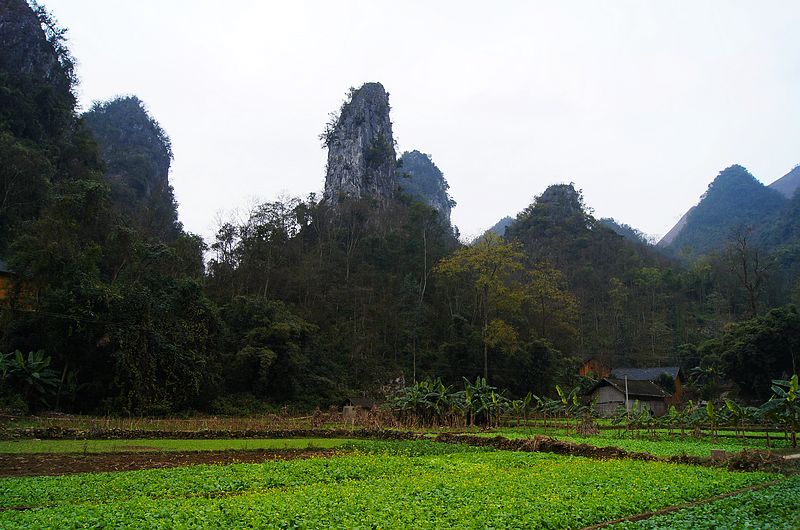 dsc08929.jpg
