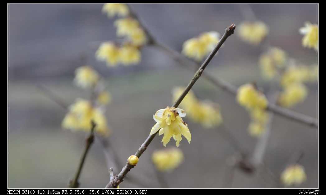 2012.2.20Ͽ156.jpg