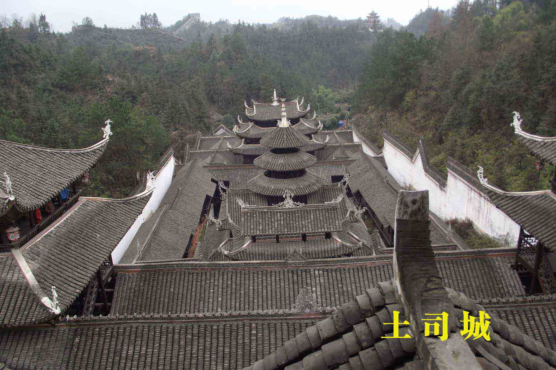 dscf5822a.jpg