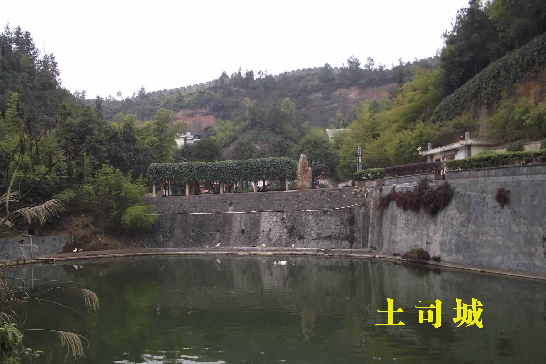 dscf5835a.jpg