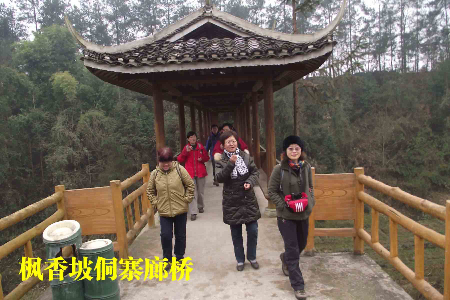 dscf5874.jpg