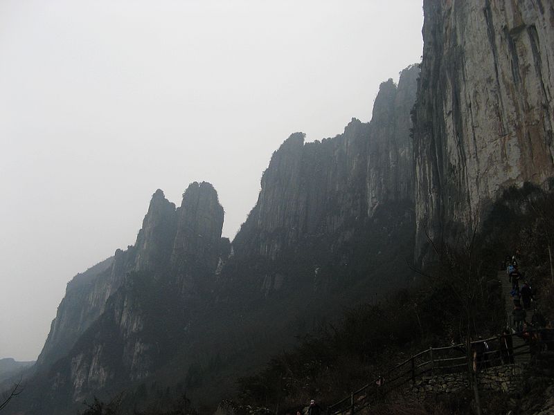 neo_img_img_4314.jpg