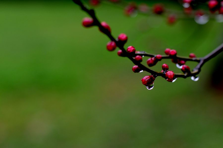 neo_img_dsc_8808.jpg