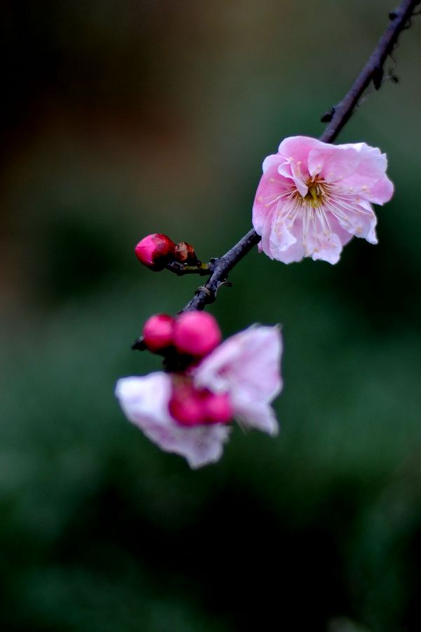 neo_img_dsc_8833.jpg