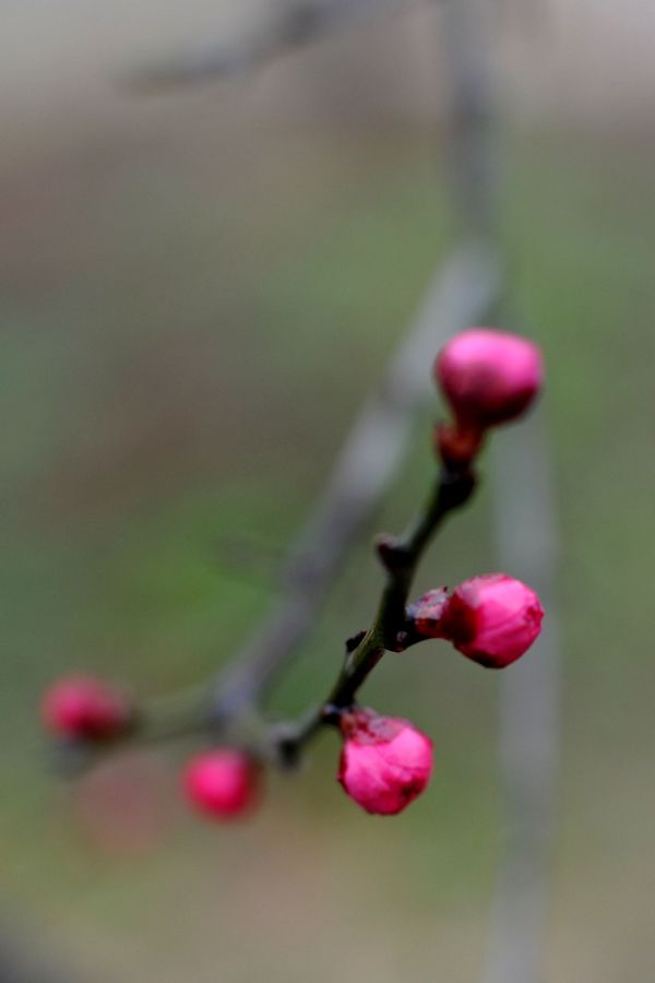 neo_img_dsc_8830.jpg