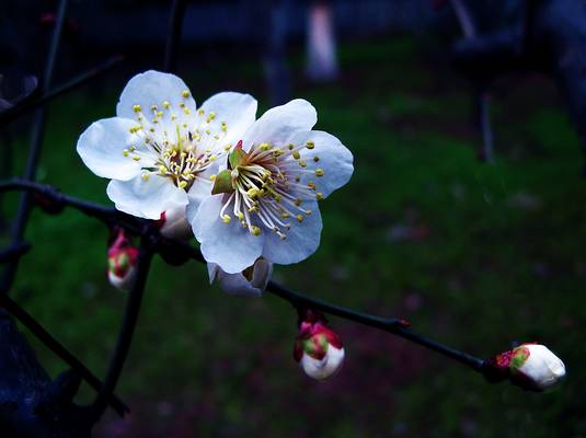 dscn01101.jpg